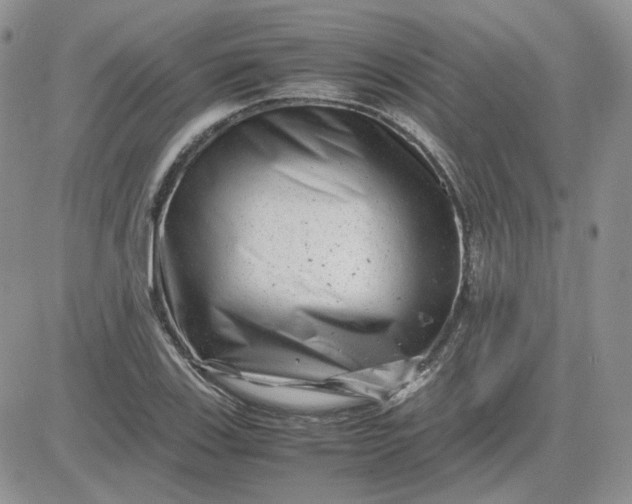 X0000081451123200701261906