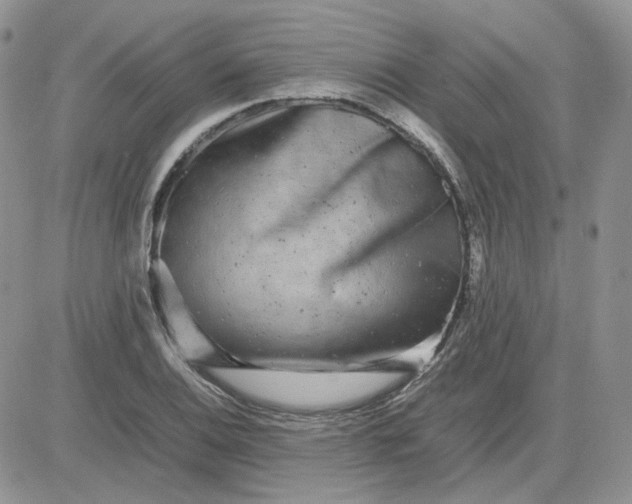 X0000081451124200701261906