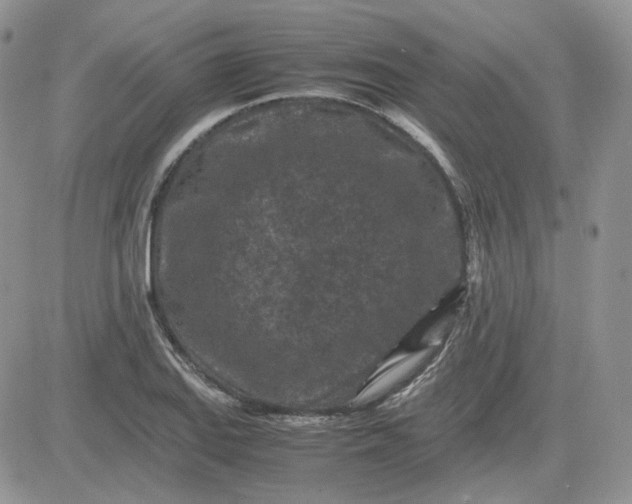 X0000081451127200701261906