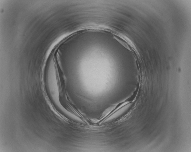 X0000081451128200701261906