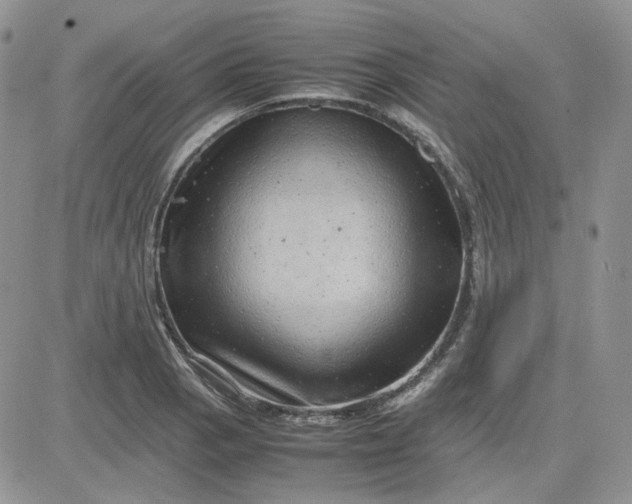 X0000081451129200701261906