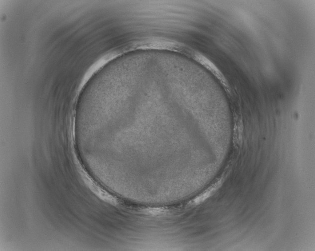 X0000081451130200701261906