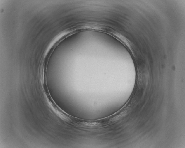 X0000081451131200701261906