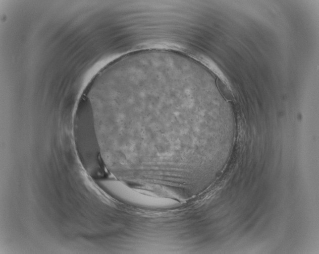 X0000081451132200701261906