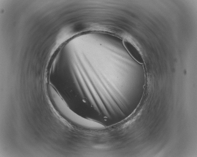 X0000081451133200701261906