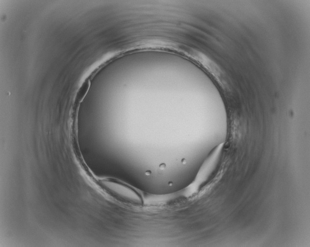 X0000081451134200701261906