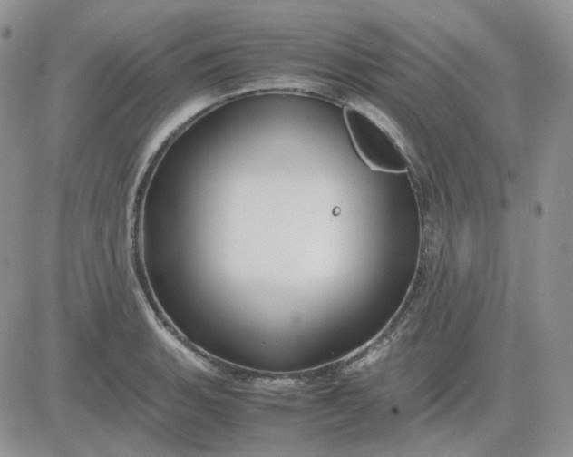 X0000081451135200701261906