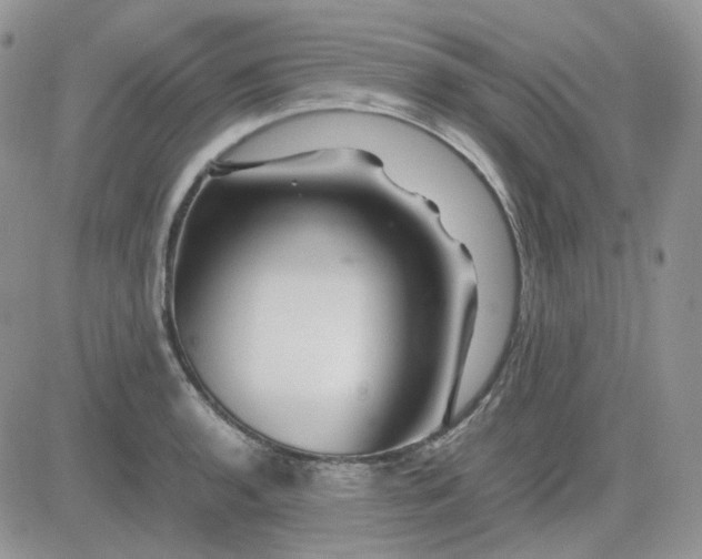 X0000081451136200701261906