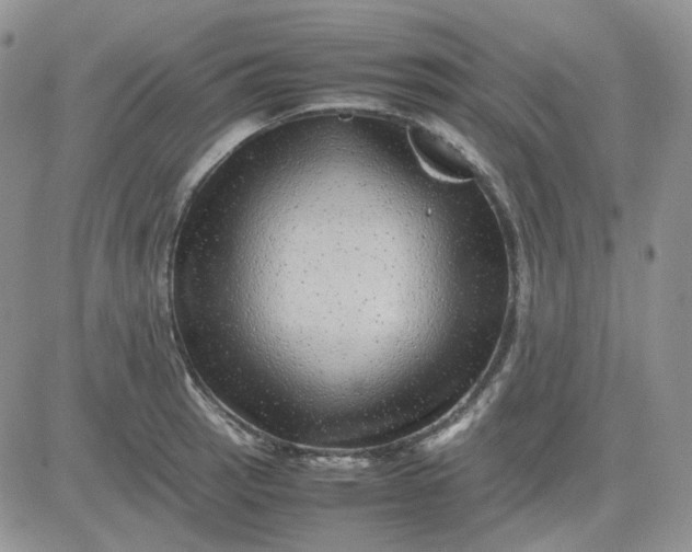 X0000081451137200701261906