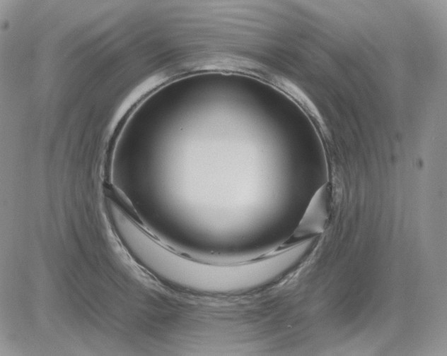 X0000081451138200701261906