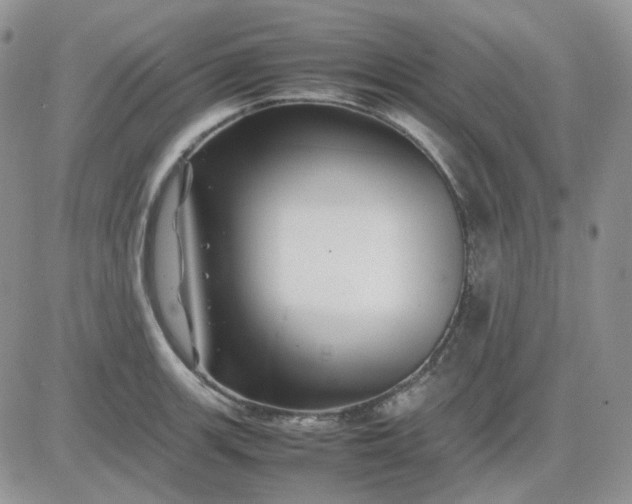 X0000081451139200701261906