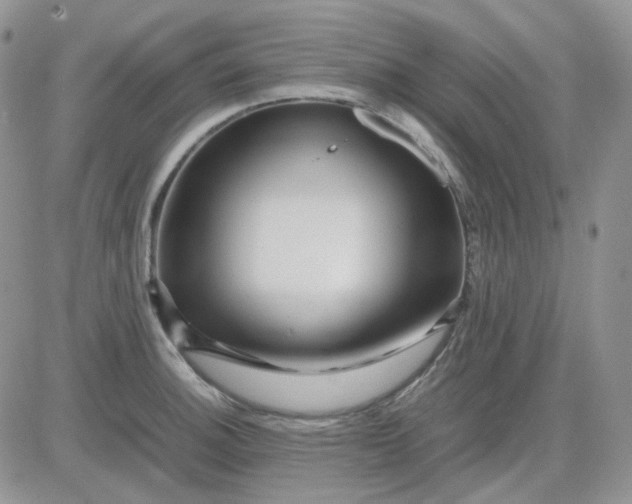 X0000081451140200701261906