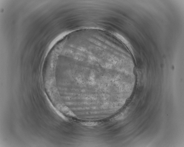 X0000081451141200701261906