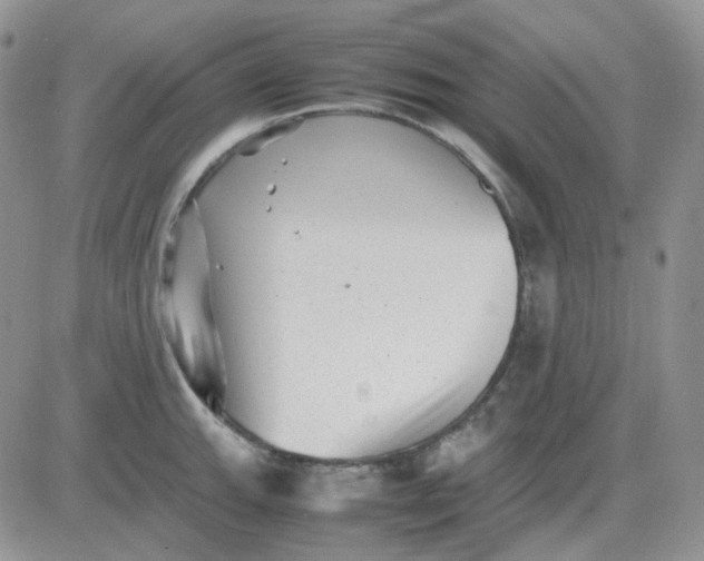 X0000081451143200701261906