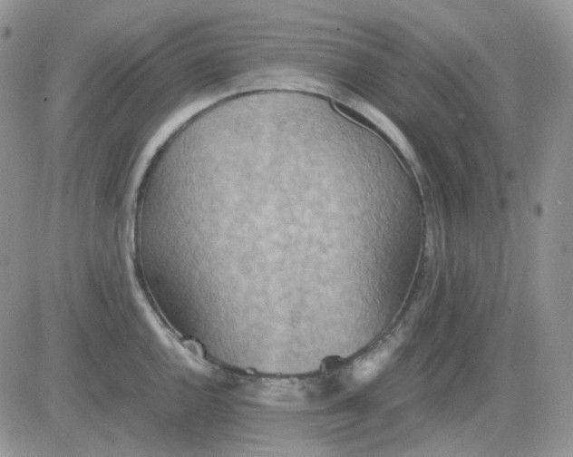 X0000081451144200701261906