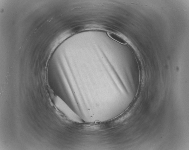 X0000081451145200701261906