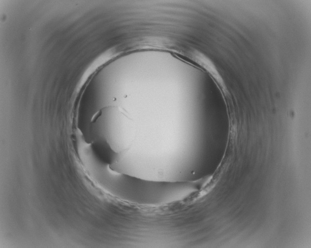 X0000081451146200701261906