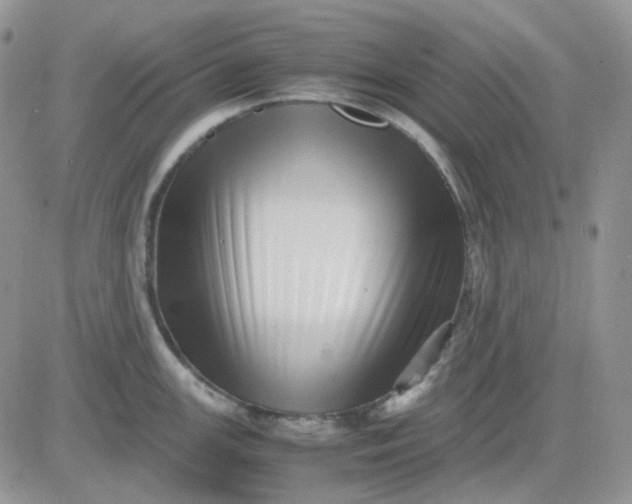 X0000081451147200701261906