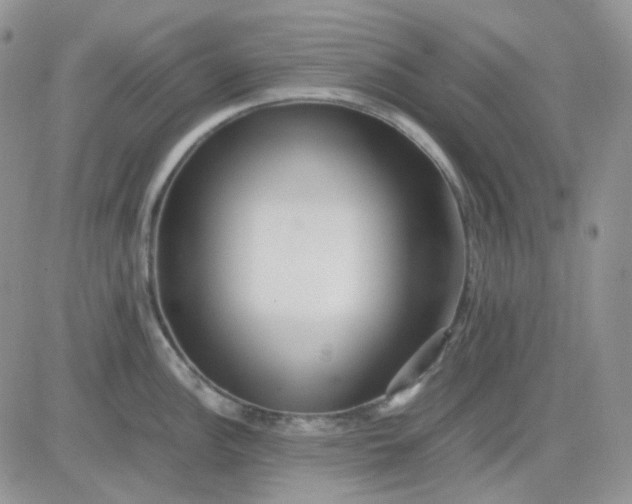 X0000081451148200701261906