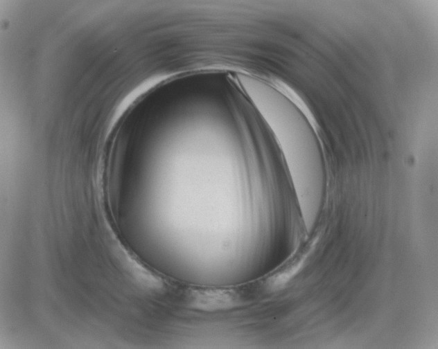 X0000081451149200701261906