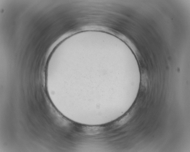 X0000081451150200701261906