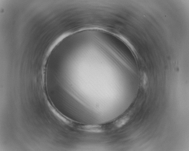 X0000081451151200701261906