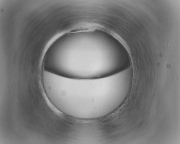 X0000081451152200701261906