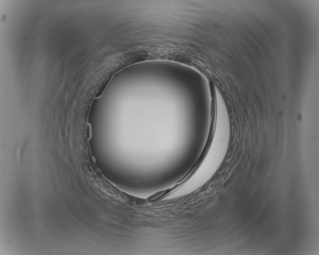 X0000081451153200701261905