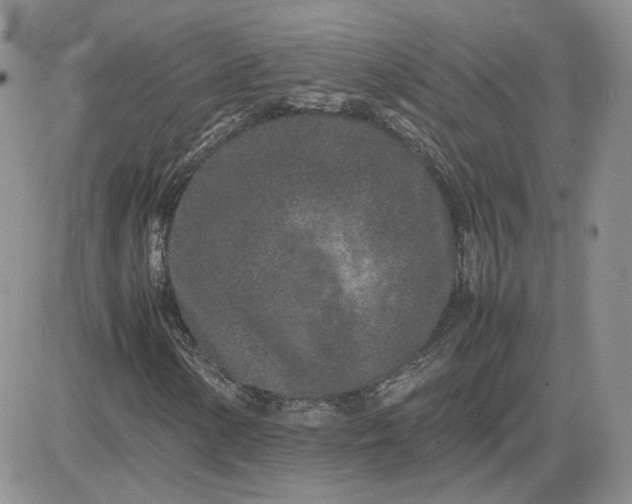 X0000081451154200701261905