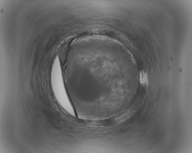 X0000081451155200701261905