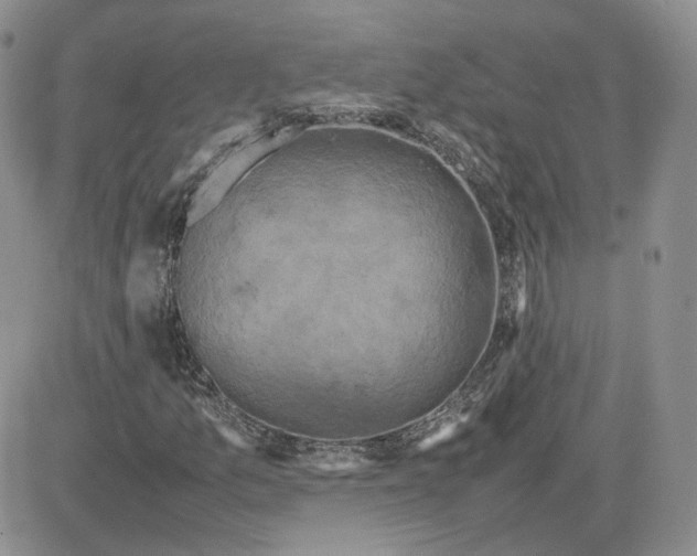 X0000081451157200701261905