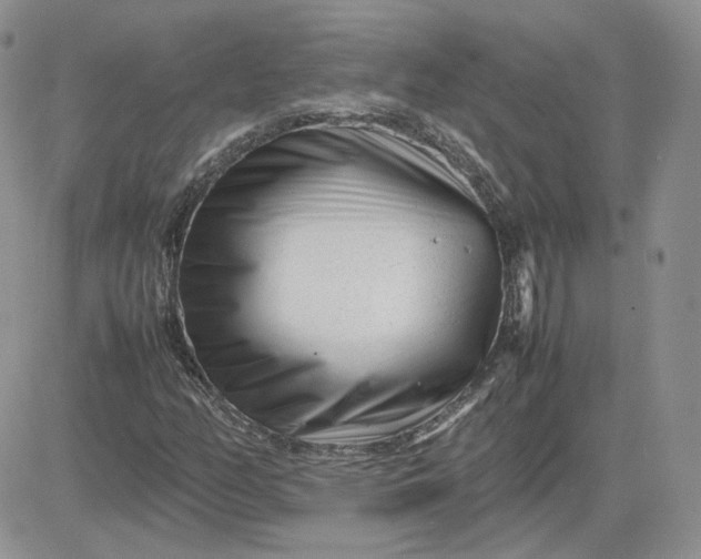 X0000081451158200701261905