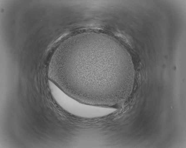 X0000081451159200701261905