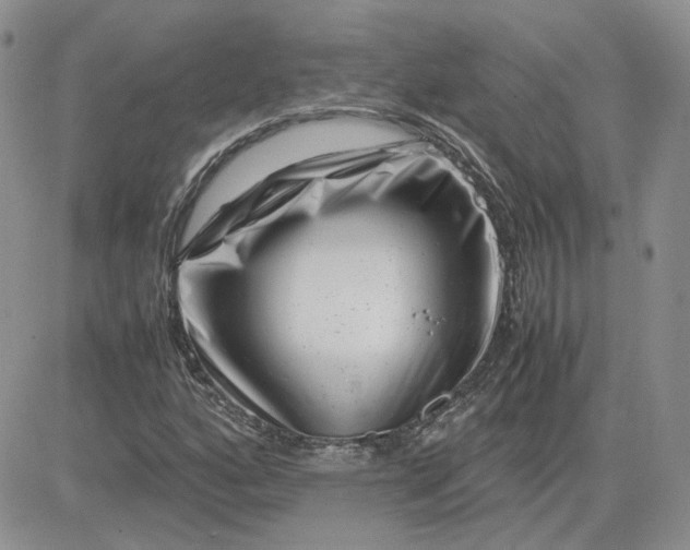 X0000081451160200701261905