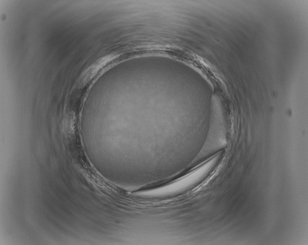 X0000081451161200701261905