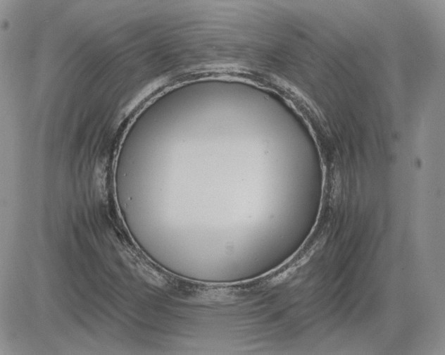 X0000081451162200701261905