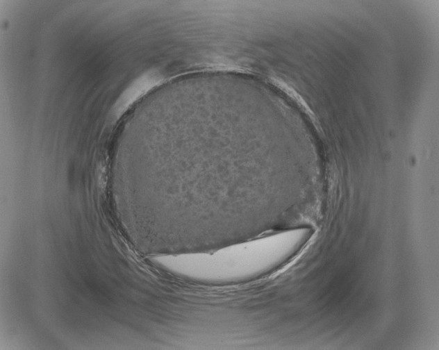 X0000081451163200701261905