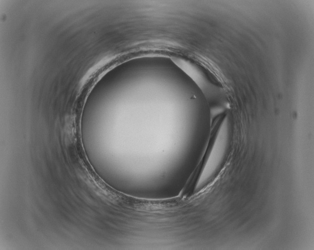 X0000081451164200701261905