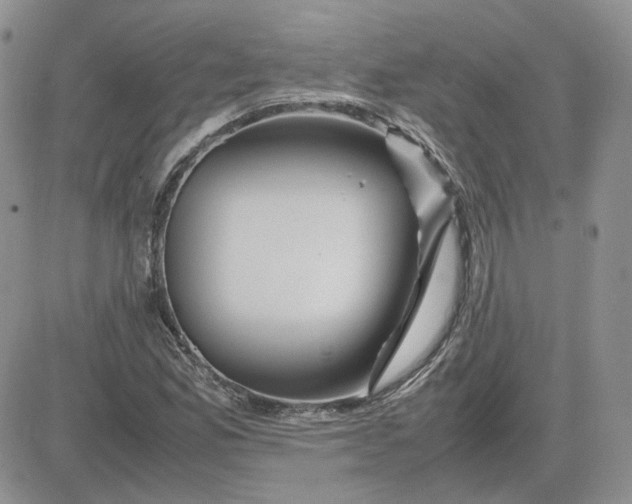 X0000081451165200701261905