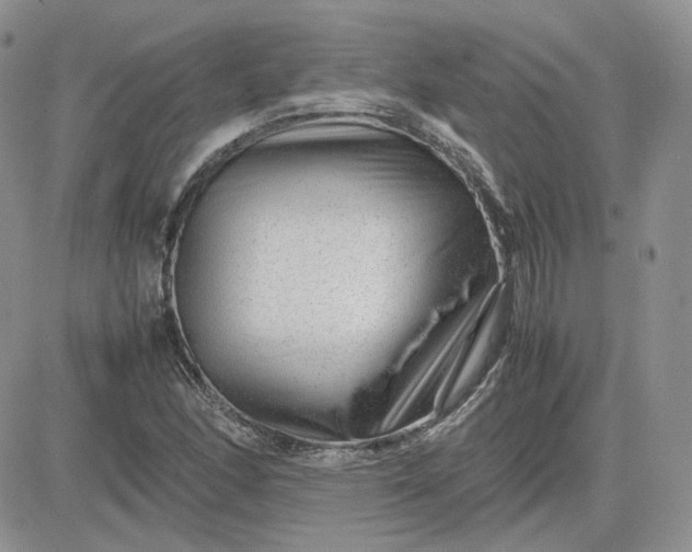 X0000081451166200701261905