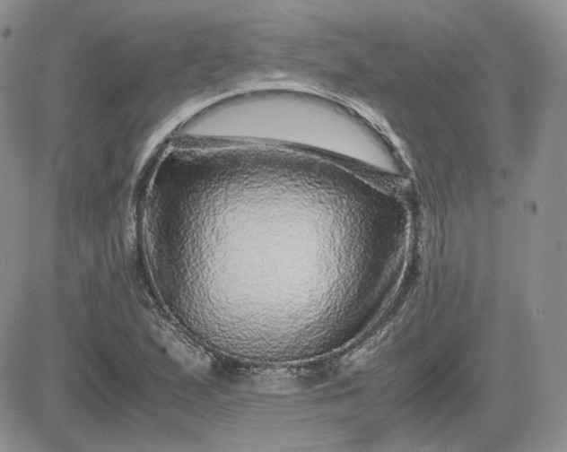 X0000081451167200701261905