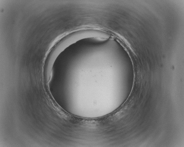 X0000081451168200701261905