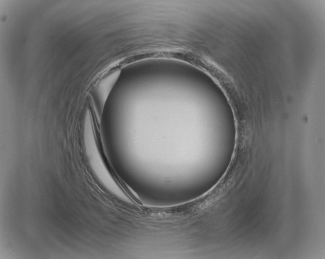 X0000081451169200701261905