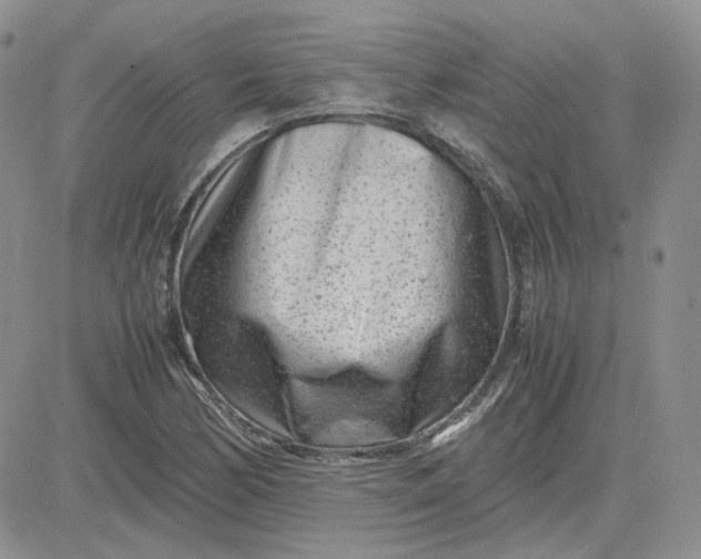 X0000081451170200701261905