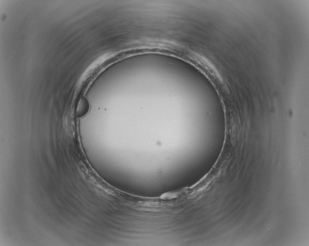 X0000081451172200701261905