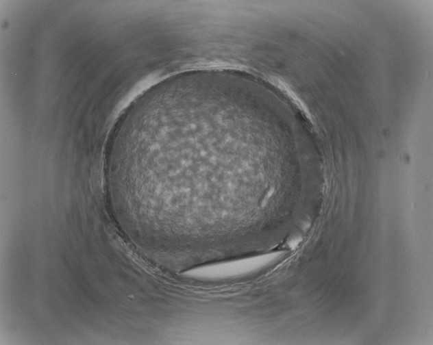 X0000081451173200701261905