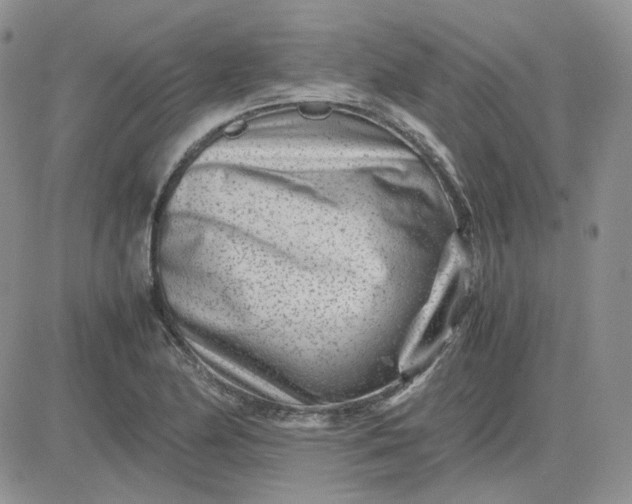 X0000081451174200701261905