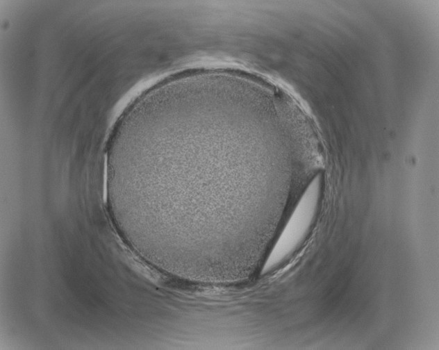 X0000081451175200701261905