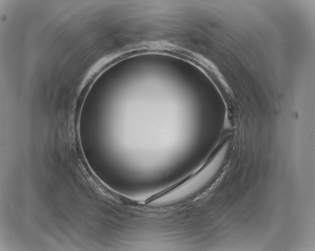 X0000081451176200701261905