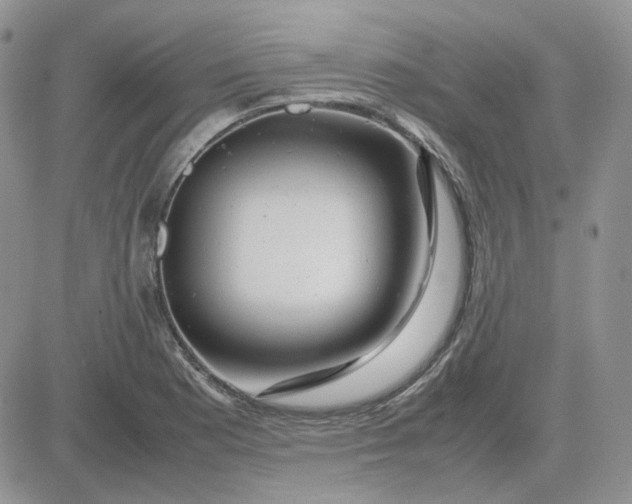 X0000081451177200701261905